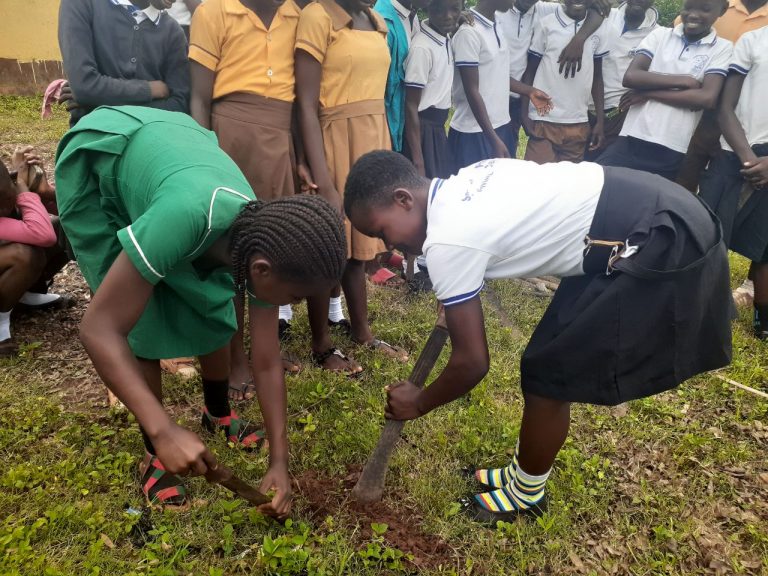 Community members planting trees