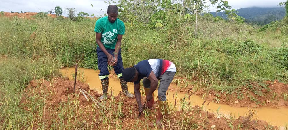Green Ghana program