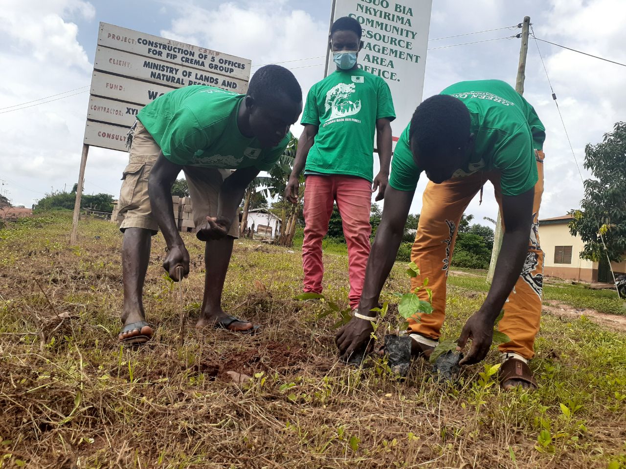 Green Ghana tree planting