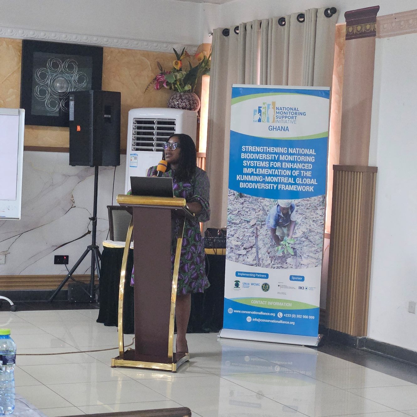 Mrs. Emelyne Wright-Hansen of MEST delivering a speech at the Capacity Needs Assessment workshop