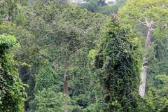 Natural-Resource-Management-3