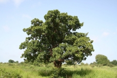 Natural-resource-management-2
