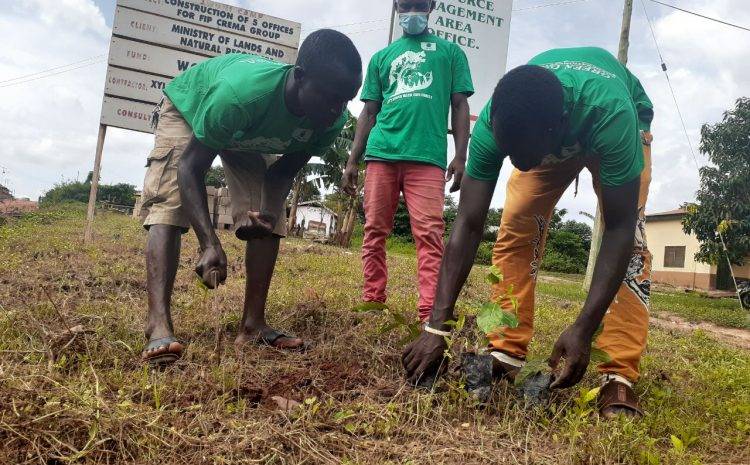 CA Joins in the GREEN GHANA Tree Planting Exercise